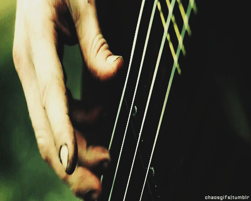 Pro Bassist